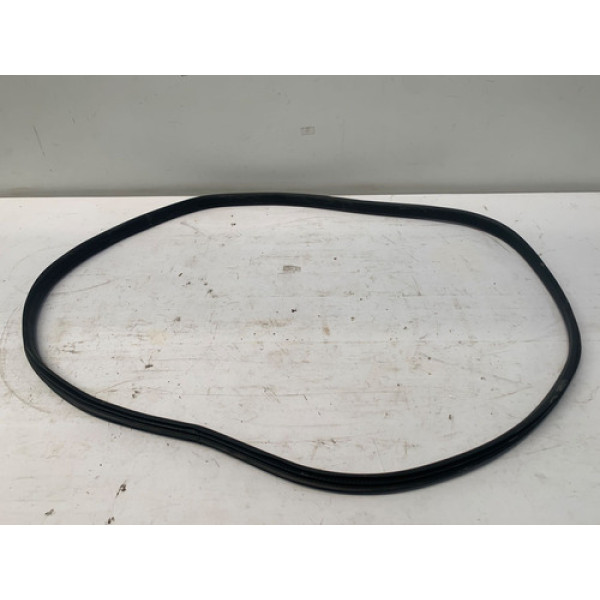 Borracha Porta Traseira Esquerda Renault Logan 2019 2024