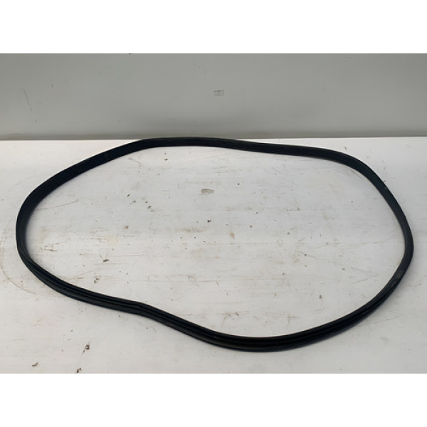 Borracha Porta Traseira Esquerda Renault Logan 2019 2024