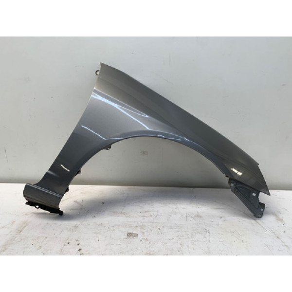 Para Lama Direito Honda Civic Lx 2001 2003 Cinza