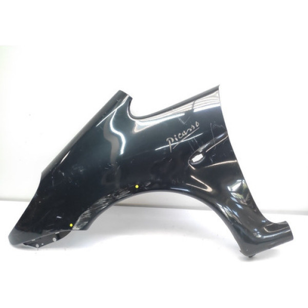 Para Lama Esquerdo Picasso 2001 2006 Detalhe Grafite