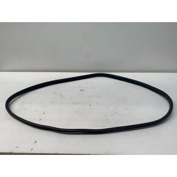 Borracha Porta Traseira Direita Renault Logan 2019 2024