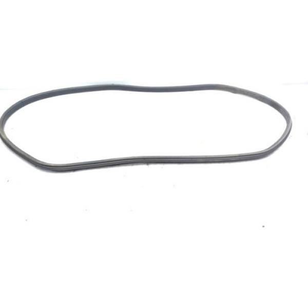 Borracha Porta Dianteira Direita Peugeot 308 Detalhe