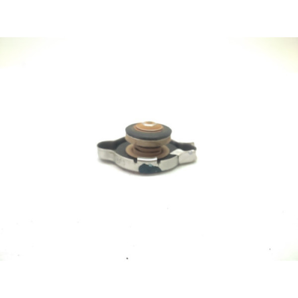 Tampa Radiador Hyundai Tucson 