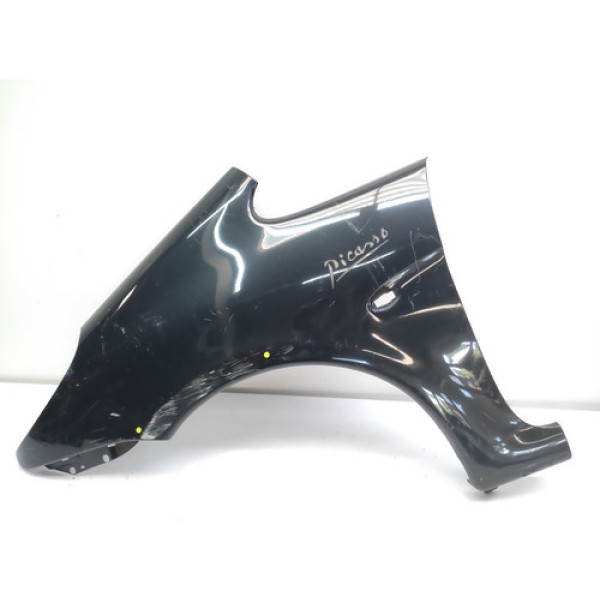 Para Lama Esquerdo Picasso 2001 2006 Detalhe Grafite