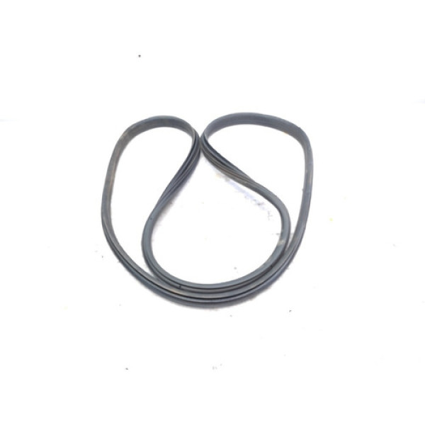 Borracha Porta Traseira Esquerda 308 2012 2014 Detalhe 