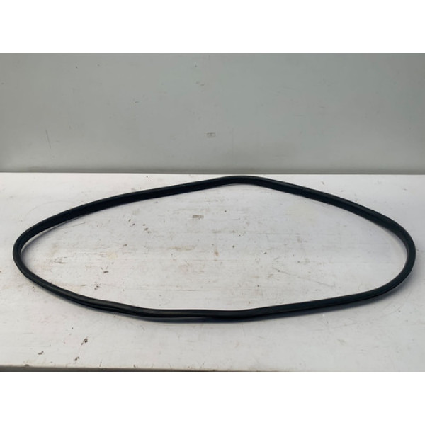 Borracha Porta Traseira Direita Renault Logan 2019 2024