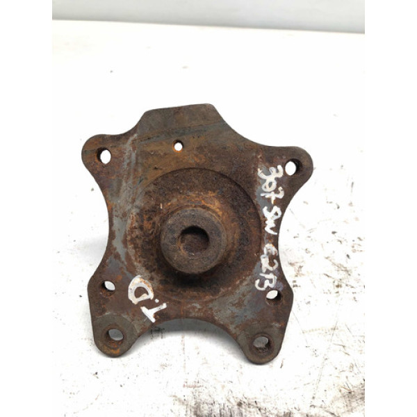 Ponta Eixo Cubo Traseiro Direito 307 C4