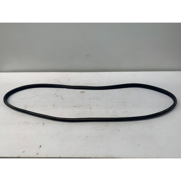 Borracha Porta Dianteira Esquerda Renault Logan 2019 2024